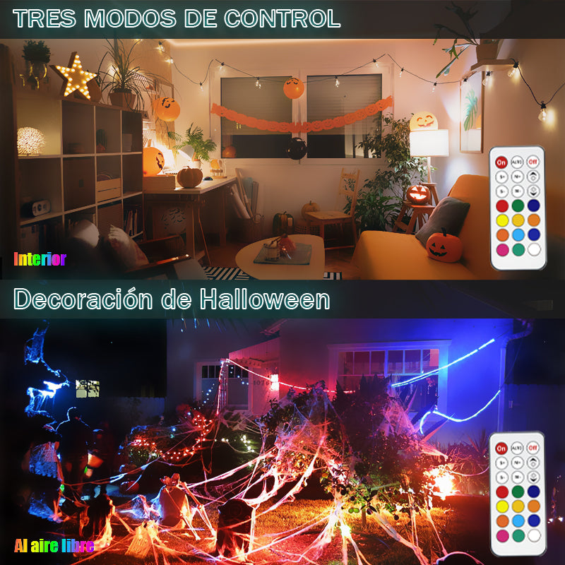 GENGXIN® Tira de LED Flex Rayo 12V 5050 60P 5mts (Sólo para exhibición)