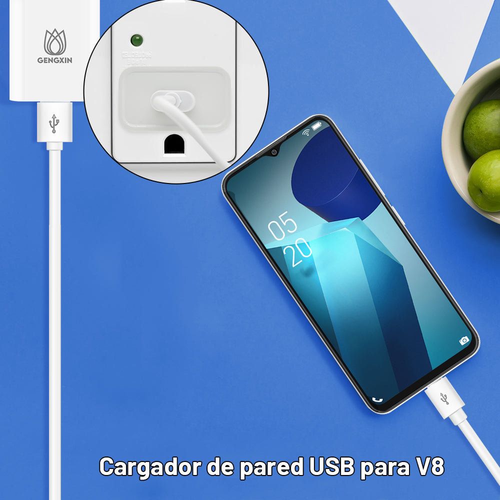 GENGXIN® Cargador de 5V2.4Amp V8 (Sólo para exhibición)