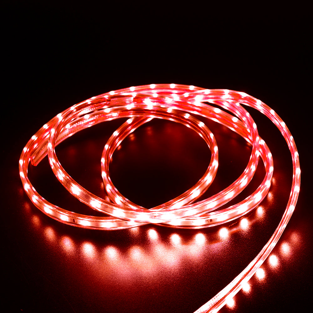 GENGXIN® Tira De Led Flex Manguera 220V 2835/60p - 25M
