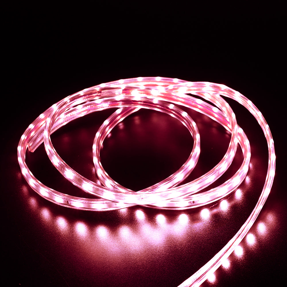 GENGXIN® Tira De Led Flex Manguera 220V 2835/60p - 25M