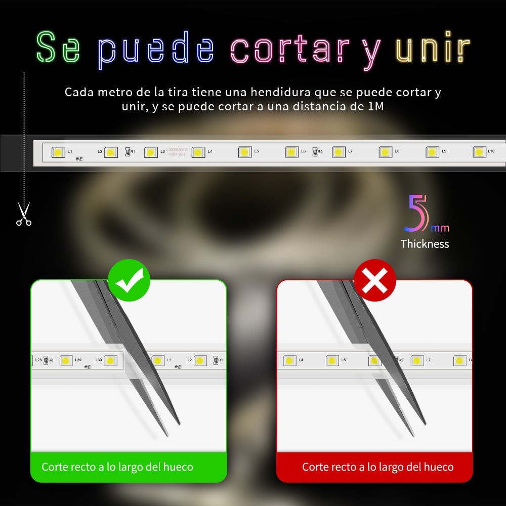 GENGXIN® Tira De Led Flex Manguera 220V 2835/60p - 25M
