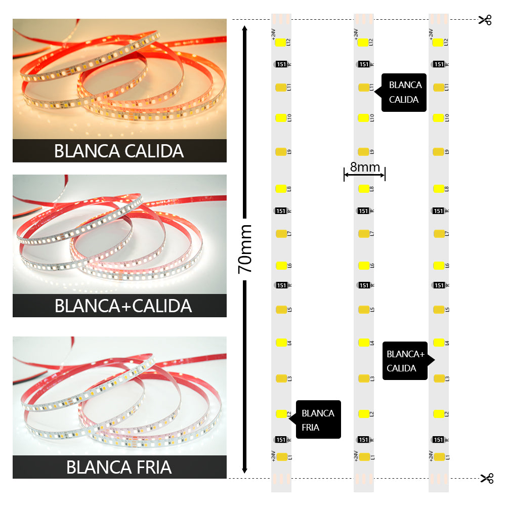 GENGXIN™ Tira de LED Flex 24V 2835 168P 5M (Sólo para exhibición)